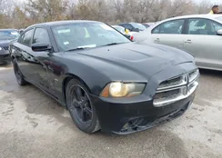 2C3CDXCT9CH191048: 44311638