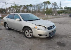 2G1WT58K181232023: 44311685