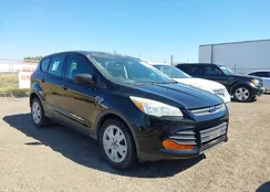 1FMCU0F75GUB71136: 44311802