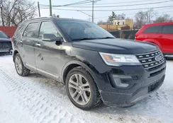 1FM5K8F82HGA02715: 44313026