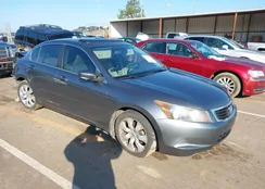 JHMCP26858C061256: 44313362