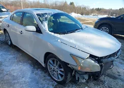 1N4AA5AP7AC824996: 44313377