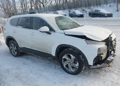 5NMS1DAJ2MH345881: 44313500