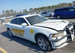 2C3CDXAT0CH237174: 44313528