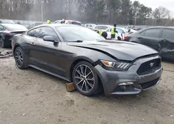 1FA6P8TH5G5227984: 44312683