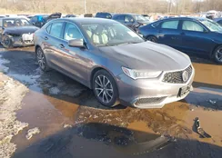 19UUB2F37KA005509: 44312947