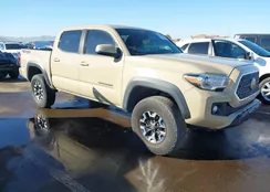 3TMCZ5AN1KM228695: 44314379