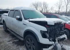 1FTFW1EFXEFC54637: 44314403