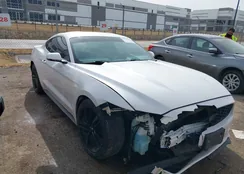 1FA6P8TH8H5294810: 44313620