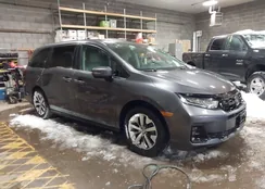 5FNRL6H6XSB082429: 44313789