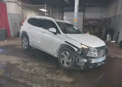 5NMS2DAJ5NH392496: 44315249