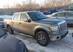 1FTFW1EV2AFD18848: 44315275