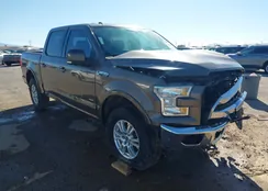 1FTEW1EP4GKF03755: 44315524