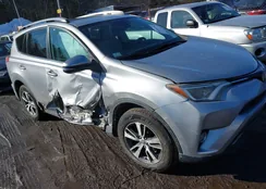 2T3RFREV5JW717389: 44314736