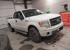 1FTFX1EF8DKF13550: 44314968