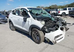 KM8J23A43HU262872: 44316318