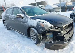 5NPE34AF5GH429509: 44315642