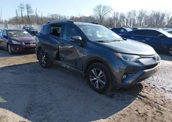 JTMRFREVXJD242562: 44315755