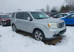 5FNYF4H47DB083661: 44317007