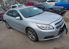 1G11C5SA4DF134214: 44317262