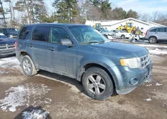 1FMCU0C70BKA99514: 44317517