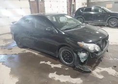 2T1BU4EE9AC408528: 44316797