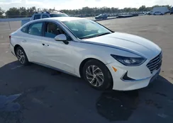 KMHL24JJ8MA031465: 44316909