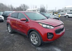 KNDPMCAC8K7491246: 44318050