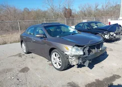 1N4AA5AP0CC818900: 44317652