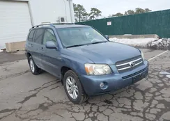 JTEEW21A960020145: 44317830