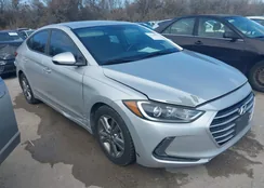 5NPD84LF9HH043834: 44319029