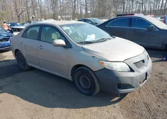 1NXBU40EX9Z080683: 44319223