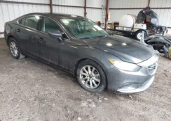 JM1GJ1U64E1143387: 44319480