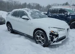 ZASPAKBN4N7D34117: 44319592