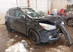 1FMCU9H94DUB18491: 44320339