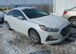 5NPE24AF8KH767532: 44320578