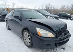 1HGCM82646A007085: 44319709