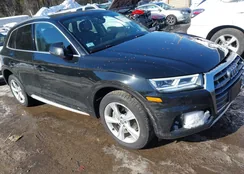 WA1BNAFY4L2059567: 44319727