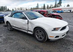 1ZVBP8EMXB5120342: 44319799