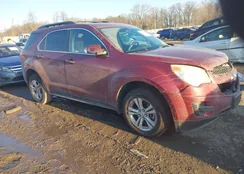 2CNALDEW3A6338044: 44319866