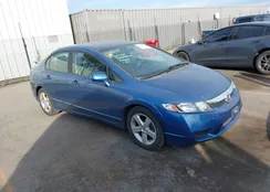 19XFA1F61AE087036: 44321307