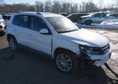 WVGBV7AX9DW519366: 44322454