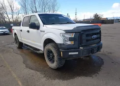 1FTFW1EF9HKD02401: 44321761