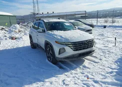 5NMJCCAE1NH049481: 44322982