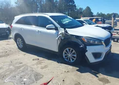 5XYPG4A53HG213574: 44323146