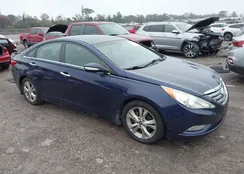 5NPEC4AC4DH618895: 44323517