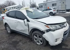 JTMRFREV2DD021025: 44322794