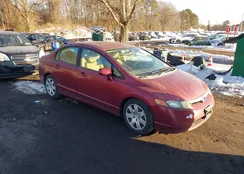 1HGFA16536L146868: 44323655