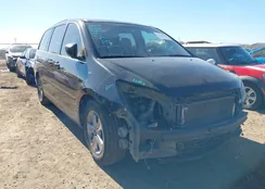 5FNRL38847B070784: 44323689