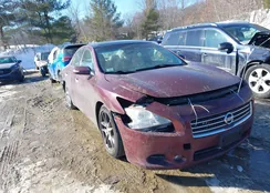 1N4AA51EX9C814599: 44323777